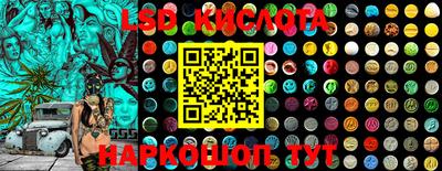 a pvp Новозыбков