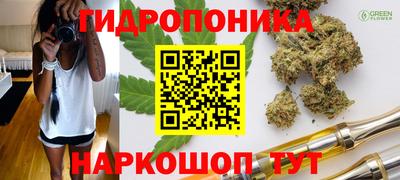 a pvp Новозыбков