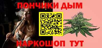 a pvp Новозыбков
