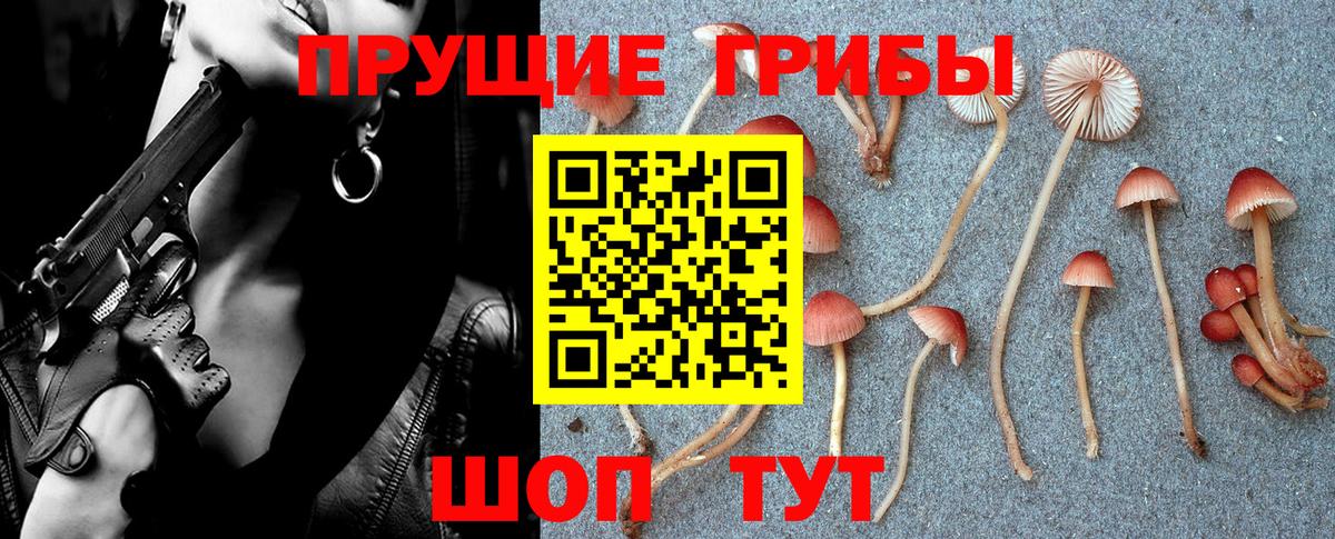 Псилоцибиновые грибы мицелий  Галлюциногенные грибы прущие грибы  Вход с VPN  Сергиев Посад 