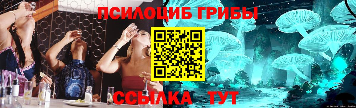 Галлюциногенные грибы Psilocybe Сергиев Посад